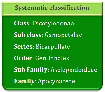 Systematic classification of asclepiadaceae, gamopetalae, bicarpellate, gentianales, apocyanaceae 